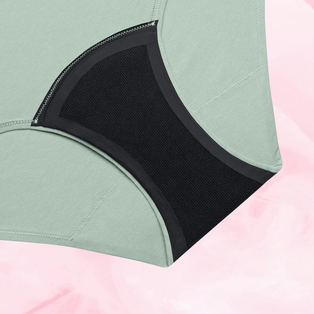 Essentials Hipster Moderate Alpine Frost Gusset Front